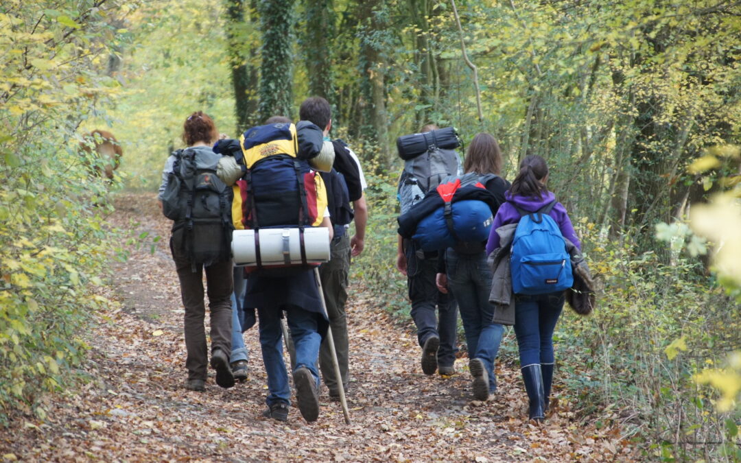 La Grande Traversée de la Forêt du Pays de Chimay