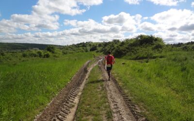 Challenge Trail de la Forêt du Pays de Chimay – On remet ça!