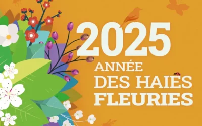 Semaine de l’arbre – Le programme