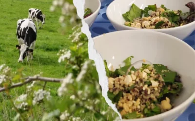 Des produits sains et locaux au sein de ma collectivité