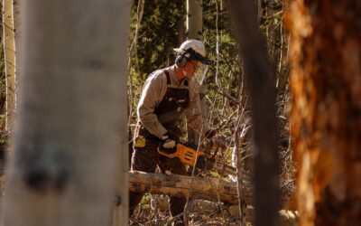 Formation à l’Affouage