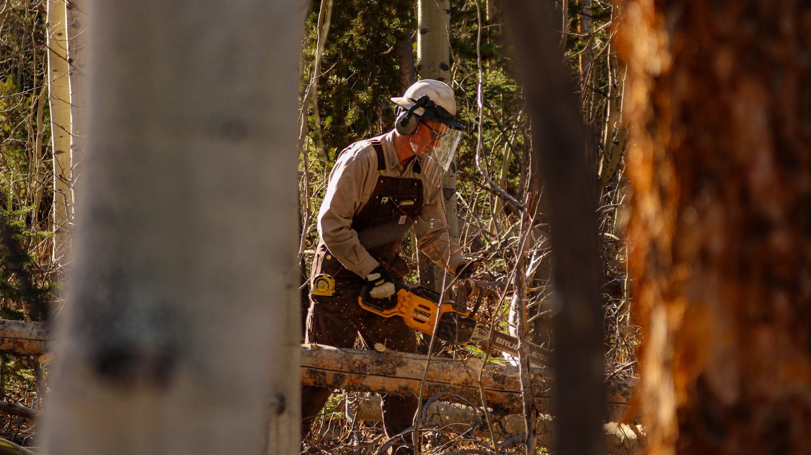 un homme maniant une tronconneuse