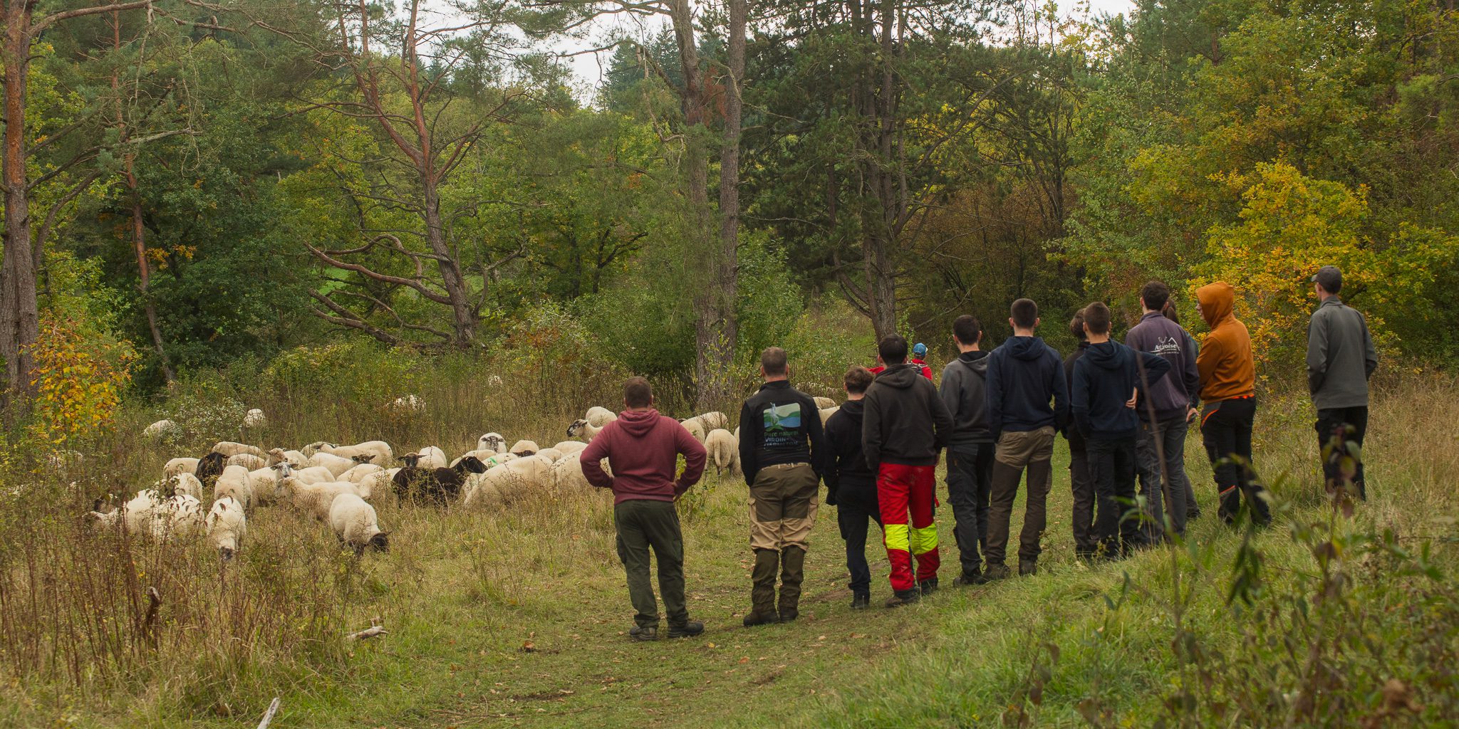 la gestion des pelouse en partenariat avec des écoles et le parc national